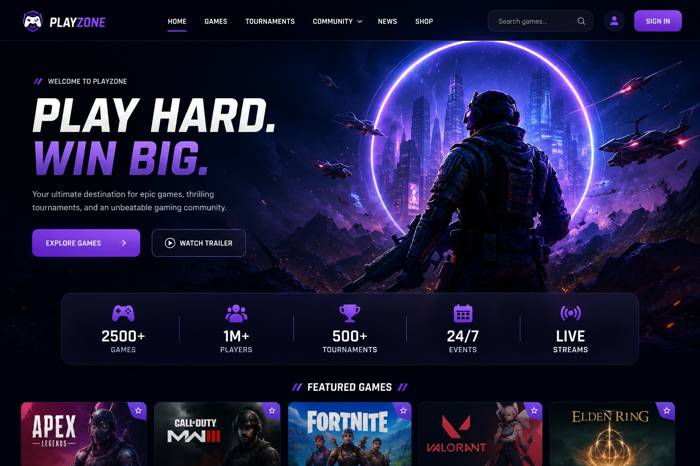 PlayZone Gaming Hub